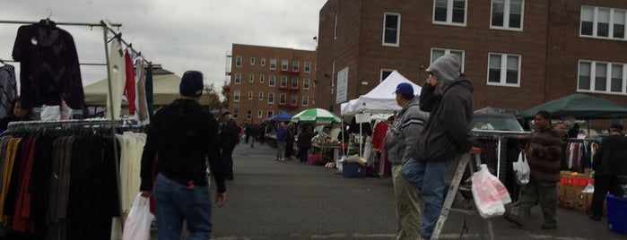 St. Nicholas of Tolentine Outdoor Flea Market is one of Posti che sono piaciuti a Novi.