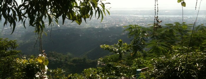 Mountain View Nature's Park is one of Lugares favoritos de Novi.