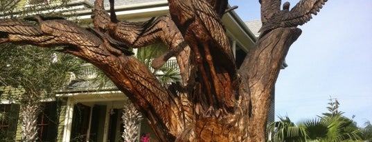 Birds of Galveston Tree Sculpture is one of GALVESTON ROADTRIP 2023.