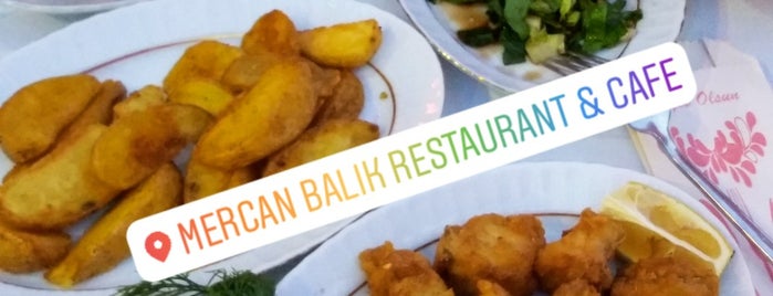 Mercan Balık Restaurant is one of K.