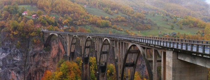 Đurđevića-Tara-Brücke is one of Сечање на Црну Гору/Remembrances about Montenegro.