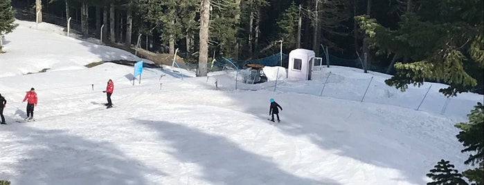 TSK Ilgaz Tesisleri is one of Posti che sono piaciuti a Pınar.