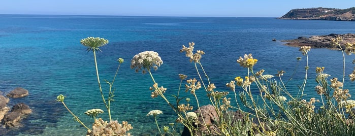 Playa S'Illot d'En Renclí is one of Ibiza.