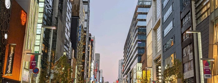 Ginza Pedestrian Paradise is one of Tokyo.