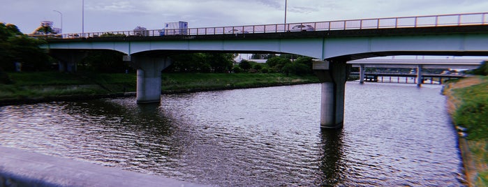 新川大橋 is one of 橋/陸橋.