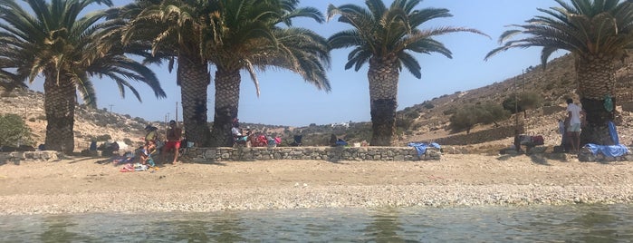 Panermos Beach is one of Orte, die Vangelis gefallen.