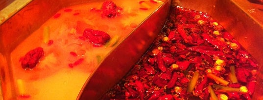 Red Chilli Sichuan Restaurant 水井坊四川酒楼 is one of Chatswood's Best Food and Desserts.