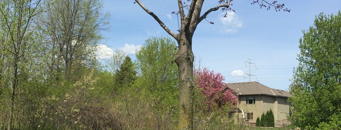 Maple Grove Arboretum is one of Favorites.