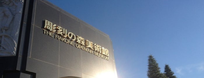 彫刻の森美術館 is one of ベスト美術館.