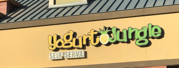 Yogurt Jungle is one of My favorite Go To places...