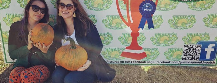 Jumbo's Pumpkin Patch is one of All-time favorites in United States.