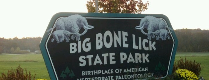 Big Bone Lick State Park is one of Cincinnati.