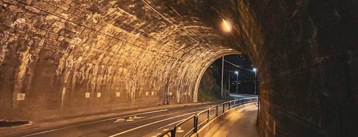 Vyšehradský tunel is one of Valdovo mayor mista.