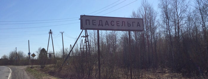 Педасельга is one of Петрозаводск - Рыбрека.