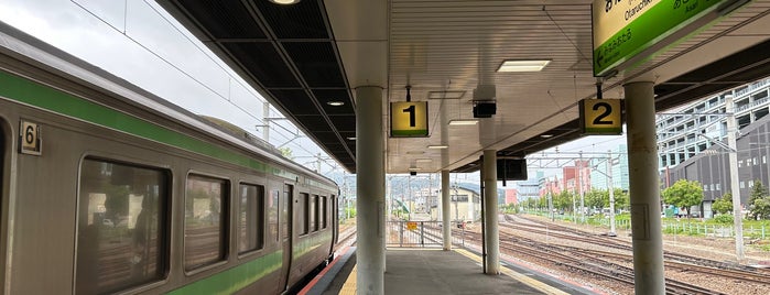Otaruchikko Station is one of 道央の駅.