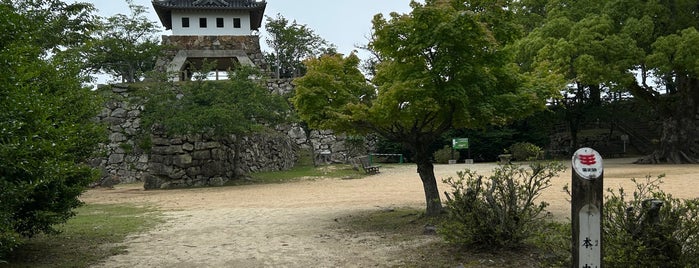 Sumoto Castle Ruins is one of 城.