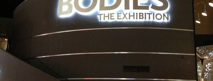 BODIES...The Exhibition is one of things I like posted.