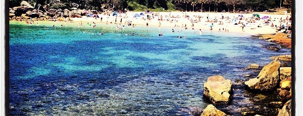 Shelly Beach is one of Sydney.