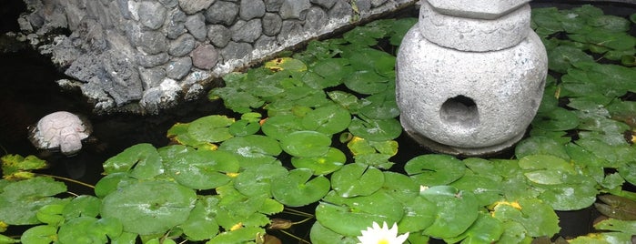 Restaurante Long Yin is one of Cuernavaca.