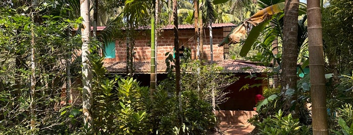 Dudhsagar Spice Plantation is one of Goa.