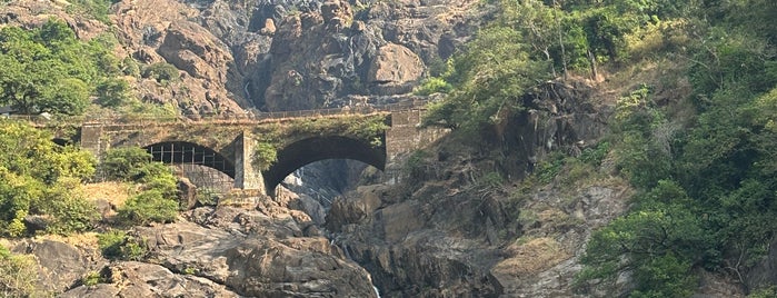 Dudhsagar Waterfalls is one of Goa.