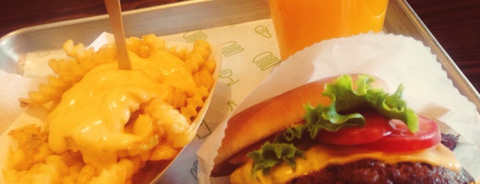 Shake Shack is one of To do in Istanbul.