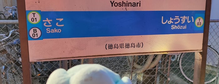 Yoshinari Station is one of JR四国・地方交通線.