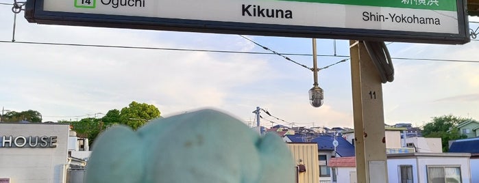 JR Kikuna Station is one of 2012. 03　Kanto.