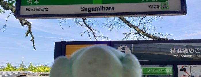 Sagamihara Station is one of 横浜線.
