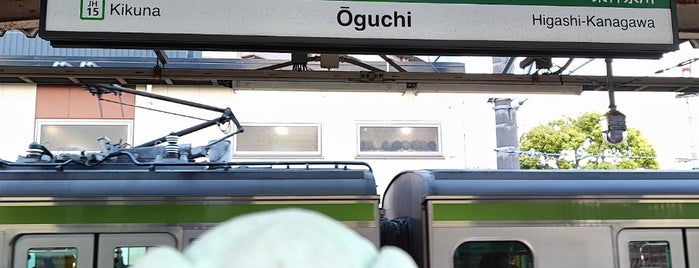 Ōguchi Station is one of 神奈川県2.