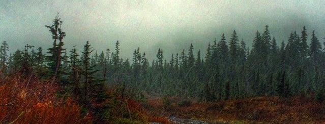 Mount Dickerman Trail is one of SEATTLE.