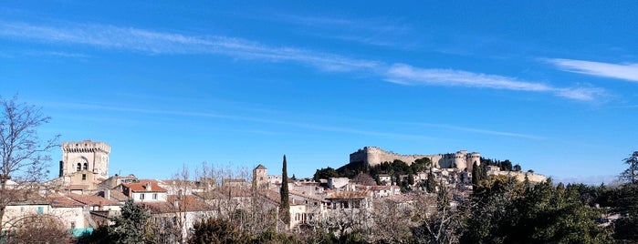 Villeneuve-lès-Avignon is one of Locais curtidos por Apo K Lyps.