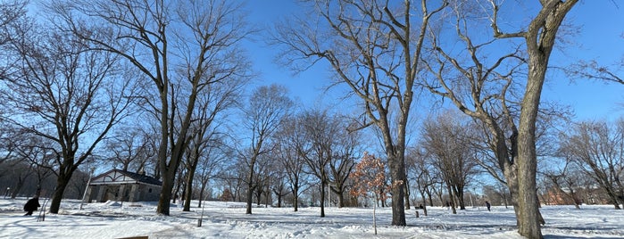 Parc Jeanne-Mance is one of Coolplaces Montreal.