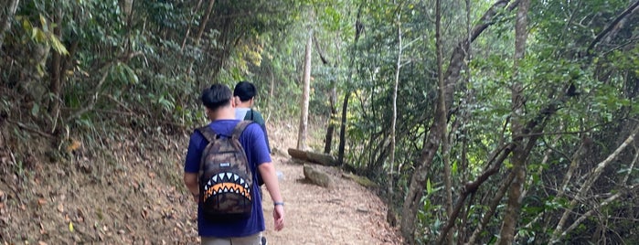 Hong Kong Trail (Section 8) is one of Hiking HKG.