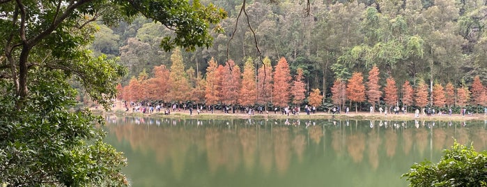 Lau Shui Heung Reservoir is one of 香港水塘.