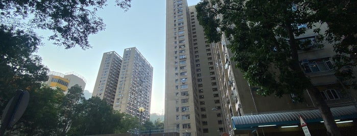 Shan King Estate is one of 公共屋邨.