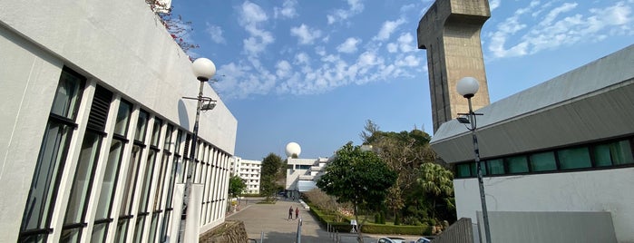United College is one of Chinese University of Hong Kong.