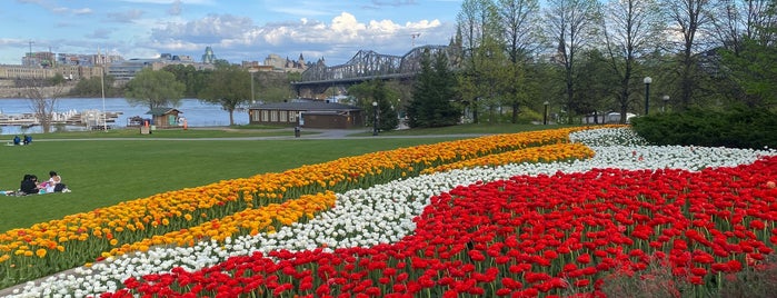 Parc Jacques-Cartier Park is one of Ottawa.