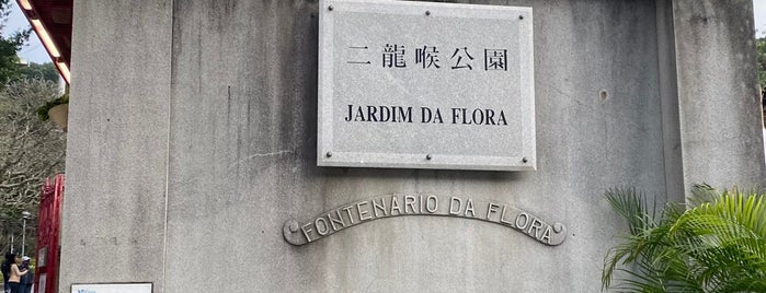 Jardim da Flora is one of MFM.