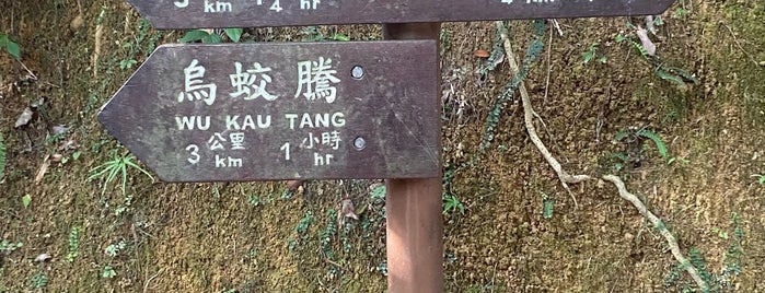 Plover Cove Country Park is one of Hiking HKG.