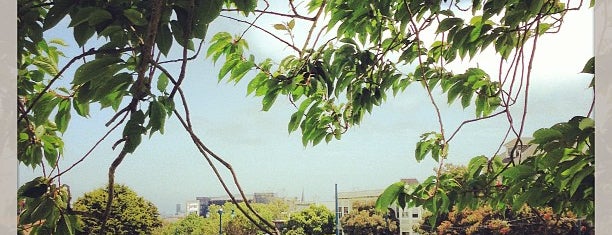 Duboce Park is one of San Francisco Favorites.