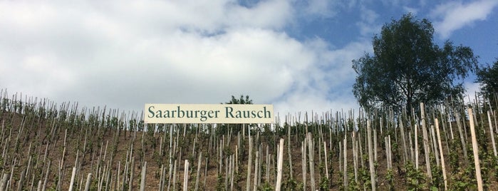 Saarburger Rausch is one of Places - Mosel & Saar.