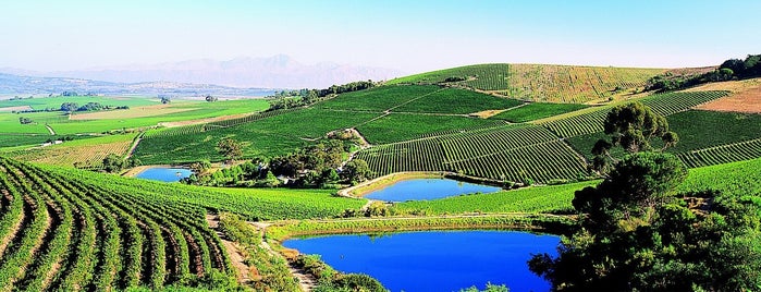 Jordan Wine Estate is one of south africa.