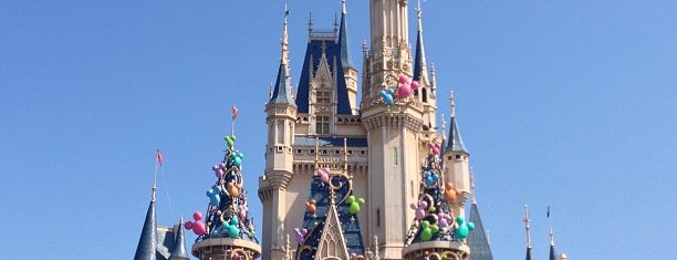 Tokyo Disneyland is one of My World.