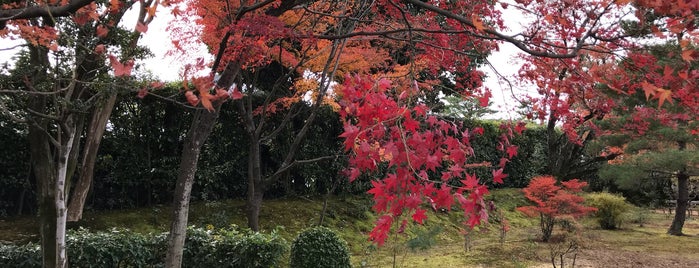 妙心寺 智勝院 is one of 京都の訪問済スポット（マイナー）.