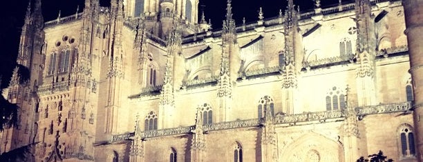 Catedral de Salamanca is one of Catedral de Salamanca.