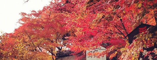 長寿寺 （東寺） is one of 近江 琵琶湖 若狭.