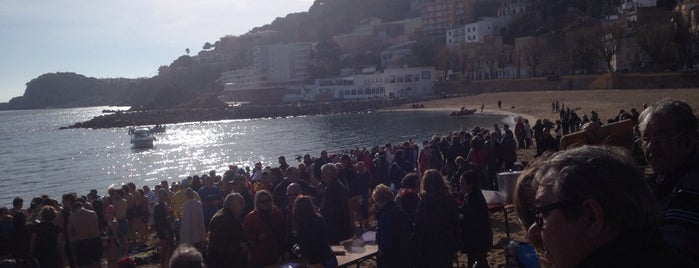 Platja de Sant Feliu is one of PLAYAS y CALAS COSTA BRAVA.