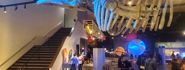 Pacific Science Center is one of Seattle to do list.