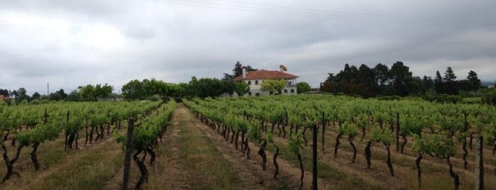 Quinta Mendes Pereira is one of Portuguese Wine.